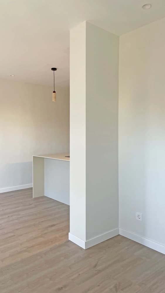 Proyecto Bassegoda - Imagen 1
