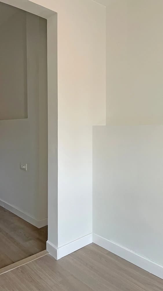 Proyecto Bassegoda - Imagen 4